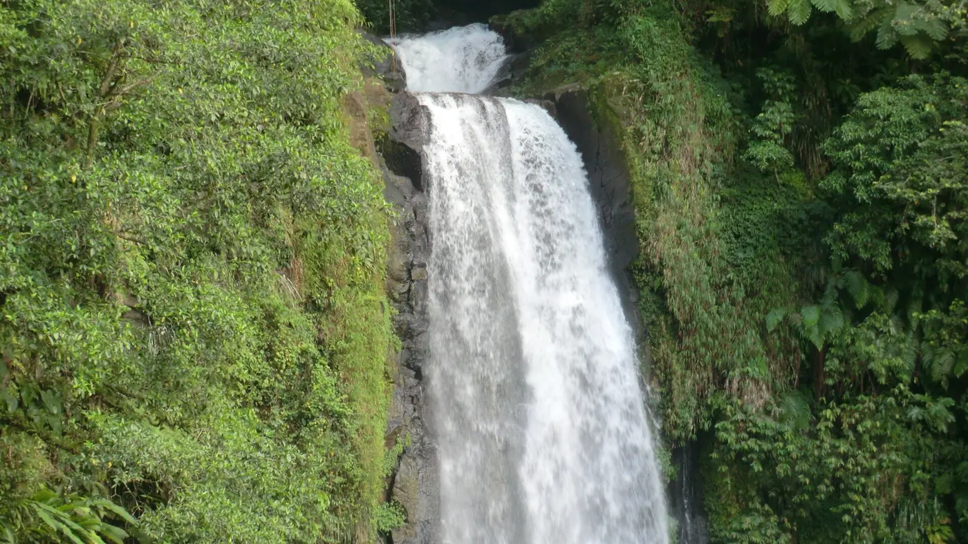 Weißes Wasser stürzt an den Trafalgar Falls im Nationalpark Morne Trois Pitons, Dominica, über eine grüne Felswand