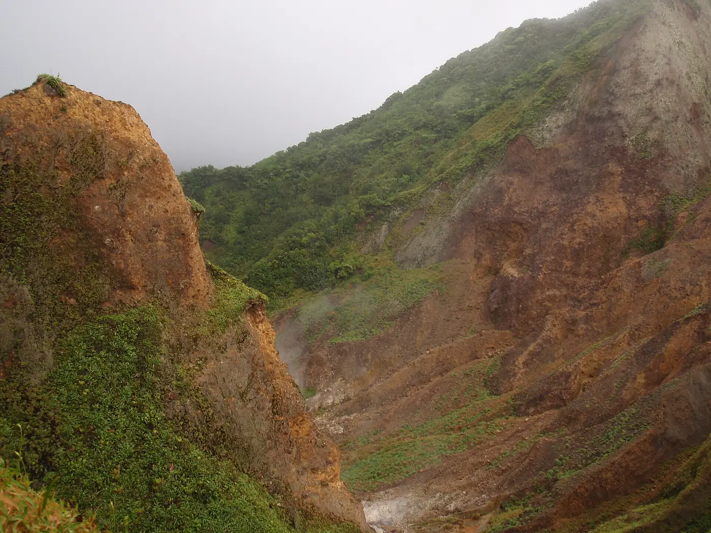Laderas volcánicas ocres y verdes en el Valle de la Desolación, Parque Nacional Morne Trois Pitons, Dominica